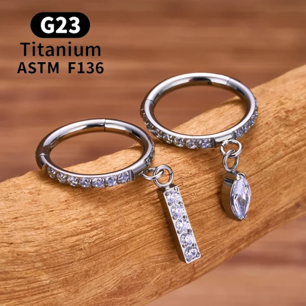 H12f896a43436439ca31584c36e38f8fdG.webp G23 Titanium Round CZ Pendant 16G Septum Hoop Nose Ring Ear Tragus Cartilage Helix Conch Earrings Body Piercing Jewelry