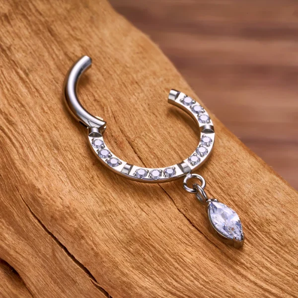 Hb04b004a02094ec0a4023eba06ffe4ea4.webp G23 Titanium Round CZ Pendant 16G Septum Hoop Nose Ring Ear Tragus Cartilage Helix Conch Earrings Body Piercing Jewelry