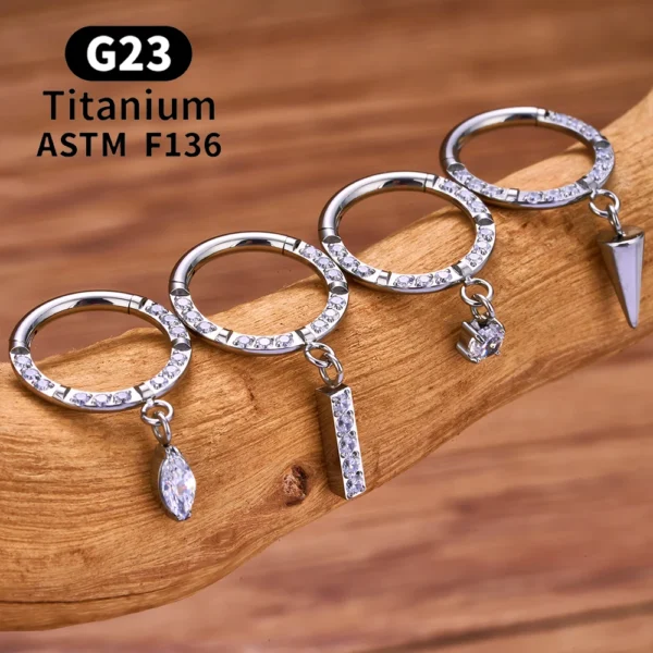Hb2ca77a192ff4eb39361b59f7385201dw.webp G23 Titanium Round CZ Pendant 16G Septum Hoop Nose Ring Ear Tragus Cartilage Helix Conch Earrings Body Piercing Jewelry