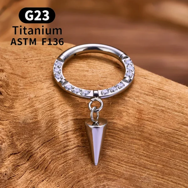 Hc2368d82428d4d0fb6f4986b742be6e4C.webp G23 Titanium Round CZ Pendant 16G Septum Hoop Nose Ring Ear Tragus Cartilage Helix Conch Earrings Body Piercing Jewelry